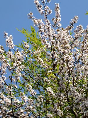 荏田南5丁目（桃源郷）
