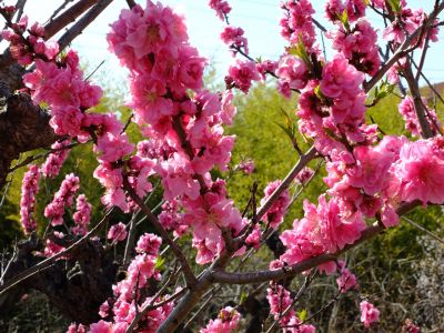 荏田南5丁目（桃源郷）
