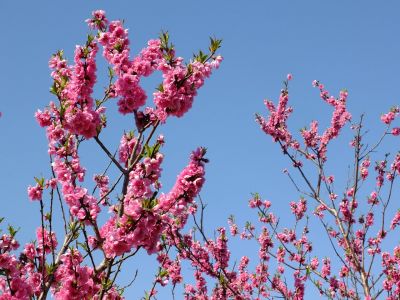 荏田南5丁目（桃源郷）
