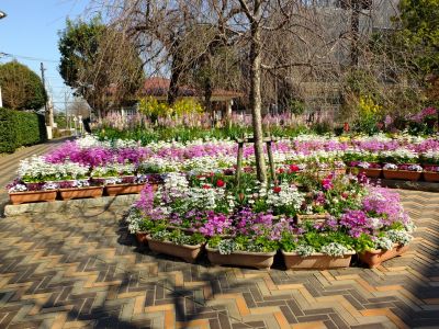 花のある商店街（荏田近隣センター商店街）

