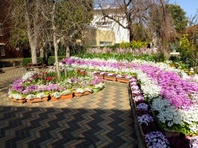花のある商店街（荏田近隣センター商店街）

