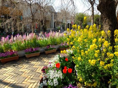 花のある商店街（荏田近隣センター商店街）
