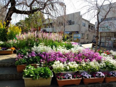 花のある商店街（荏田近隣センター商店街）
