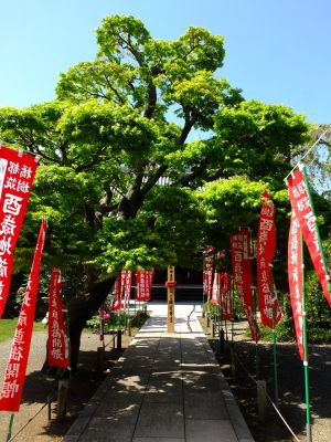 瑞雲寺は都筑橘樹酉歳地蔵菩薩御開帳
