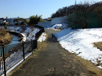 矢崎橋より早渕川
