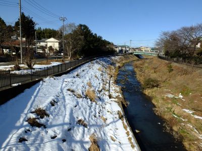矢崎橋より早渕川

