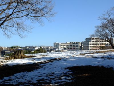 八幡山公園
