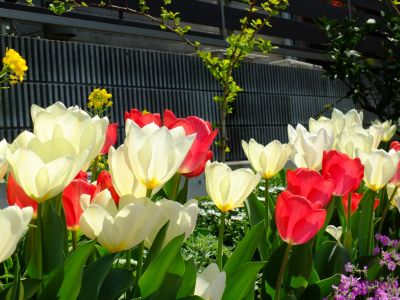 荏田近隣センター
