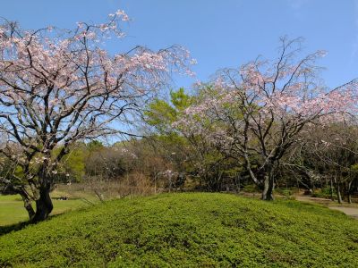 鴨池公園
