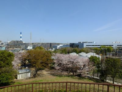 川和富士公園

