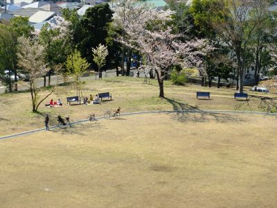 川和富士公園
