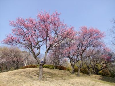折田不動公園
