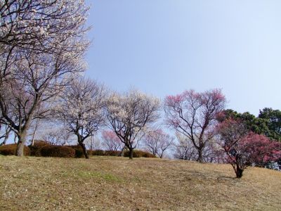 折田不動公園
