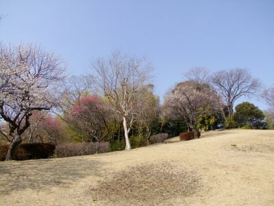 折田不動公園
