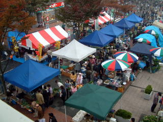 �͋[�X�̐l���ݎʐ^