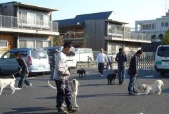 �P���̗l�q