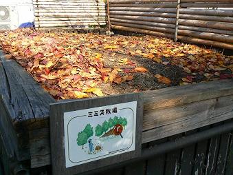 �~�~�Y�q��