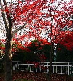 �F�Â������~�W