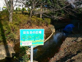 �ق���̍L��