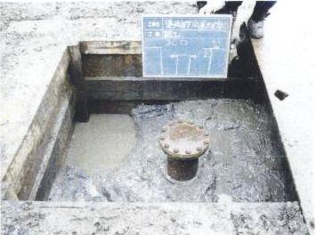 ����̍E��