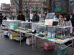 �j���[�^�E�����������