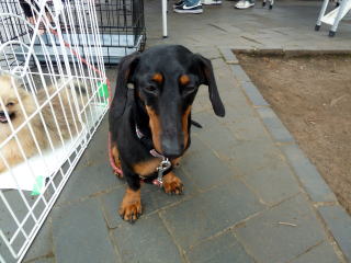 �j���[�^�E�����������