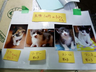 �j���[�^�E�����������