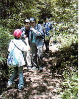 �w���̗l�q