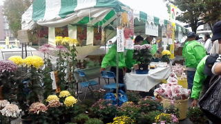 �s�}�斯�Ղ�