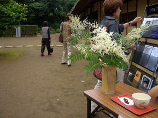 �s�}���Ɖ��̒�