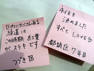 �킢�킢����