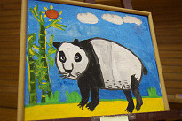 �p���_�̖��G�̎ʐ^