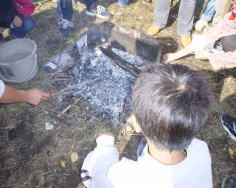 �Ă��r�[��