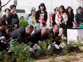 ���[�U�E�Â����Ԓd�������T�̎ʐ^