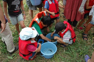 �o�P�c�̃U���K�j��`���q��