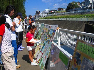 �p�l���W���̎ʐ^