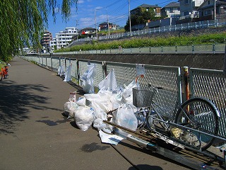 �W�܂����S�~�̎ʐ^