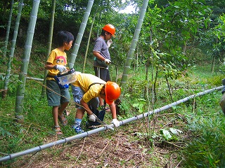 �؂藎�Ƃ����|�̎ʐ^