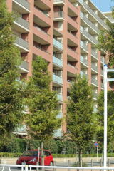 高層マンション群