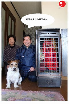 ����쏕����