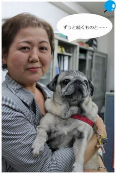 �g�����q