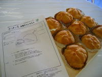 �����V���[�̎ʐ^