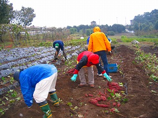 ��A���̎ʐ^