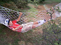 �n�����b�N�̎ʐ^