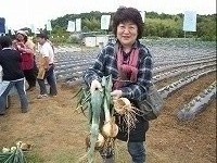 芋の苗植えイベント写真