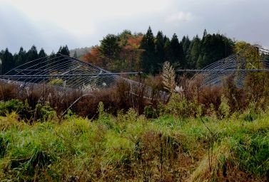 ��ꂽ�܂܂̃r�j�[���n�E�X