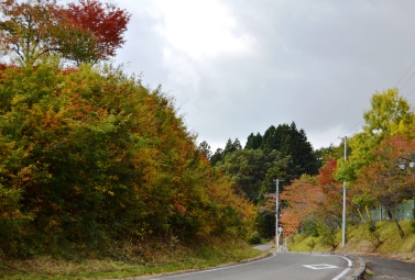 ���ꂢ�ȍg�t