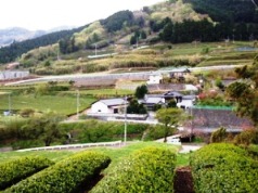 �͂��̎��R�_�̋�