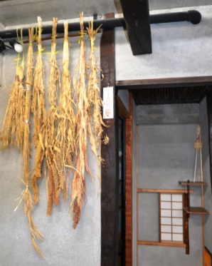 �V�R�[�̓���