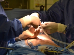 �c������̎ʐ^